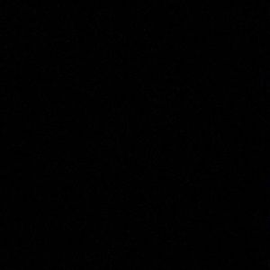 Meet your Posher, Jacqueline